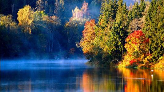 朦胧的河在拉脱维亚壁纸的秋天