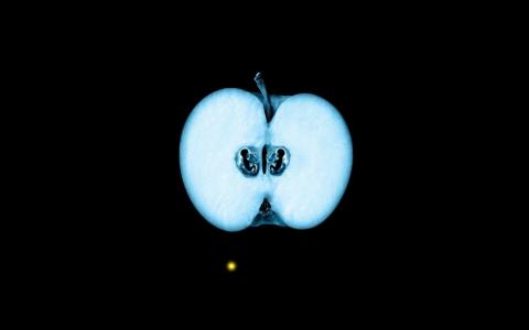 X射线苹果，胚胎，创意设计壁纸