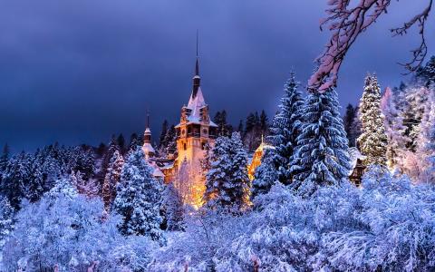 罗马尼亚，锡纳亚，派勒斯城堡，冬季，树木，雪，夜晚，灯光壁纸