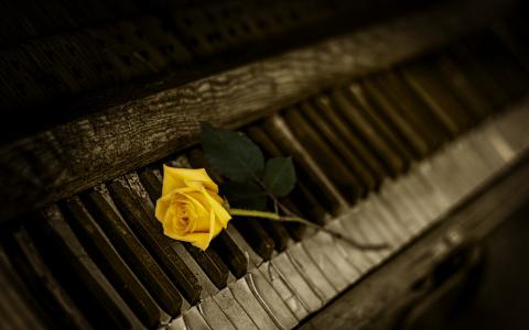 钢琴与玫瑰壁纸