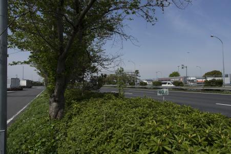 Tohoku Expressway免费图片