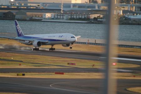飞机降落（羽田机场）。免费照片。