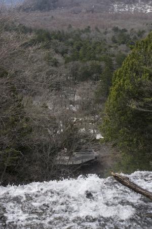 从瀑布看到的Senjogahara的免费照片素材