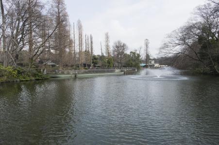 Inokashira公园免费图片