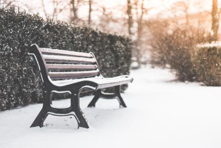 长凳在公园和下雪的天气
