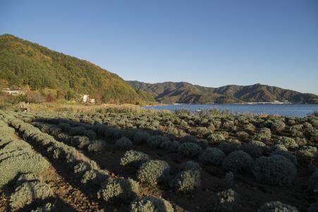 Kawaguchi湖免费图片