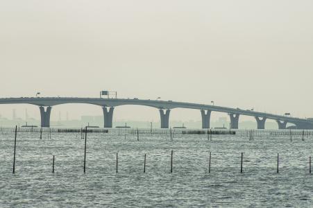 东京湾水色桥免费股票照片
