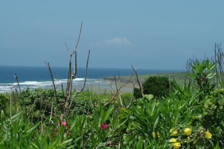 冲绳海免费照片素材