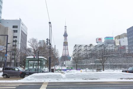 札幌雪节在冬天公园的准备免版税库存照片