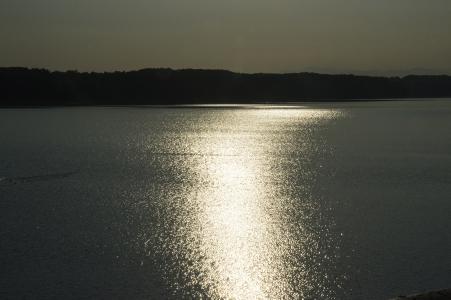 多摩湖（村山保留的池塘）免费照片