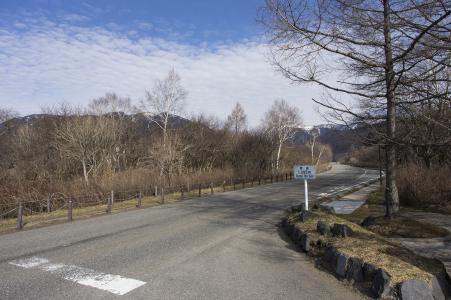 国道120附近Senjogahara免费照片