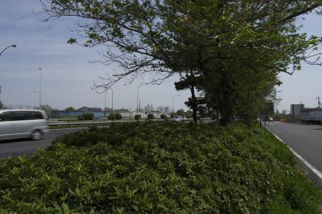 Tohoku Expressway免费图片