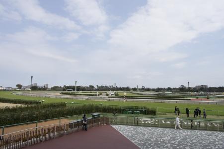 Nakayama Racecourse免费图片