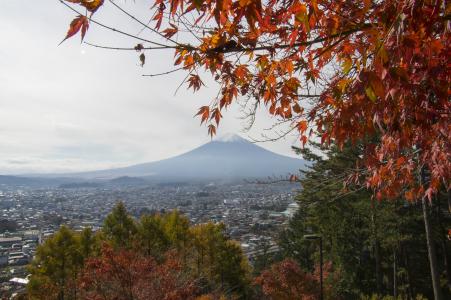 富士和秋叶免费图片