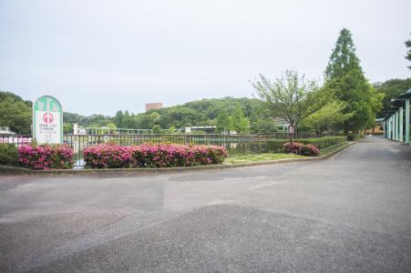 东山动物园和植物园免费照片