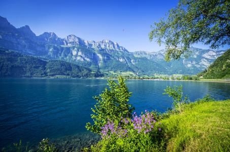瓦伦湖，Walensee，瑞士，阿尔卑斯山，湖，Valenze，瑞士，阿尔卑斯山，山脉