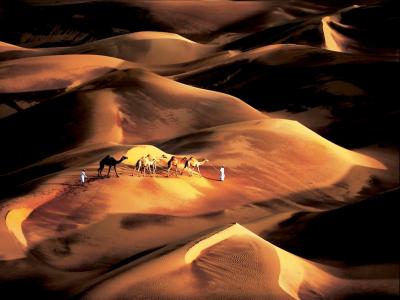 沙漠，人，骆驼，小型商队