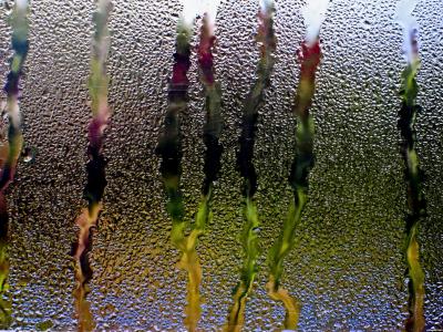 溪流，雨，窗，水，滴，玻璃