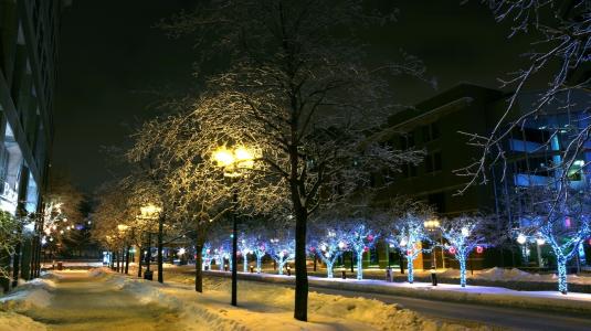 新年的心情，发光的树木，雪堆