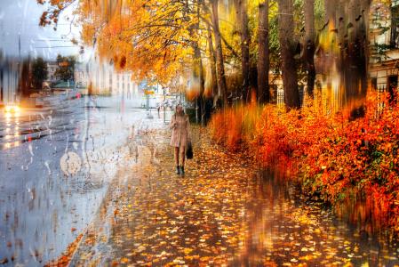 Gordeev爱德华，城市，街道，路，树，雨，女人