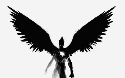 黑色，恶魔，心脏，翅膀，灵魂