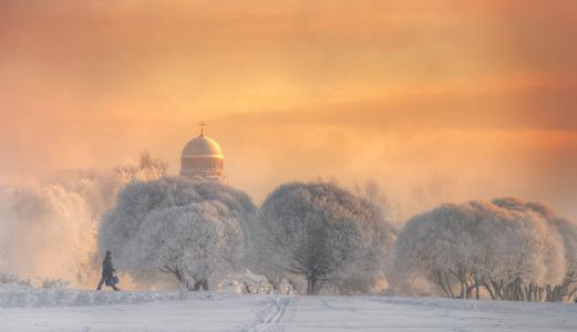 树，房子，冬季，天空，自然，雪，教堂，圆顶，埃德Gordeev