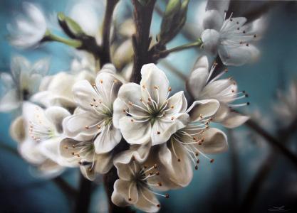 绘画，性质，鲜花，白，树枝，开花，苹果树