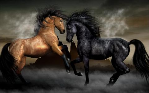 自然，马匹，力量，美丽，恩典，马