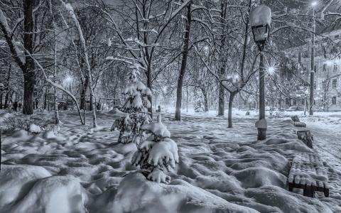 冬天，公园，雪，长凳，灯笼，基辅，乌克兰，黑色和白色