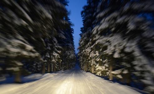 树，宏，冬天，芬兰，芬兰，路，雪