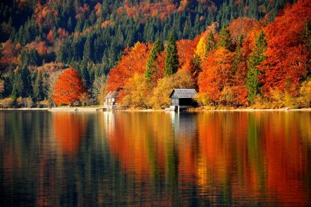 秋天，森林，斜坡，房屋，湖，反射