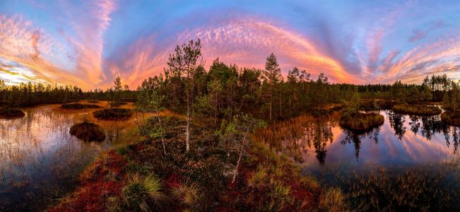 沼泽，苔藓，天空，秋天，岛屿，北，松树，暮，照片，拉什科夫Fedor