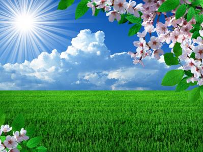春天，Photoshop，阳光，领域，鲜花，樱桃，天空，云