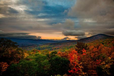 森林，美国，景观，秋天，弗吉尼亚州，性质