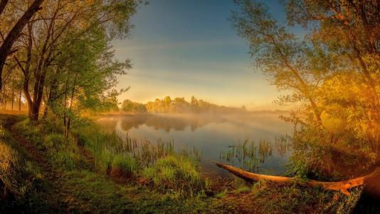 黎明，树木，河流，muhavets，白俄罗斯