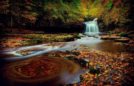 秋天，森林，河，瀑布，森林，黄色背景，瀑布，水，河，美丽