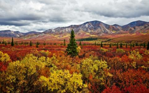 阴沉的天空，地平线附近的高山和丘陵，秋天的色彩植被