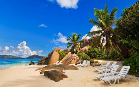 沙滩，沙滩，天空，棕榈树，躺椅