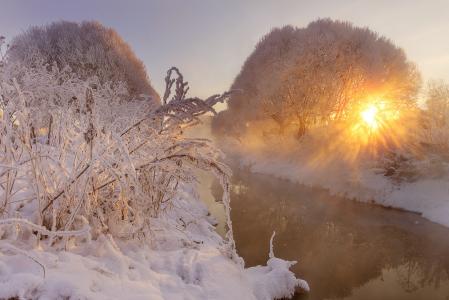Gordeev爱德华，性质，树枝，雪，冬天，河，树，太阳