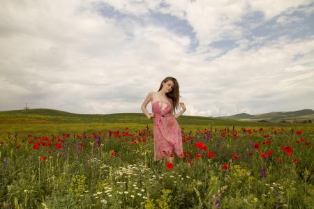 艾米莉·布卢姆，野花，大自然，夏天