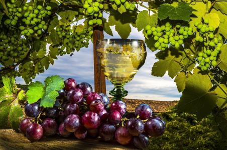 葡萄，酒，玻璃，叶子