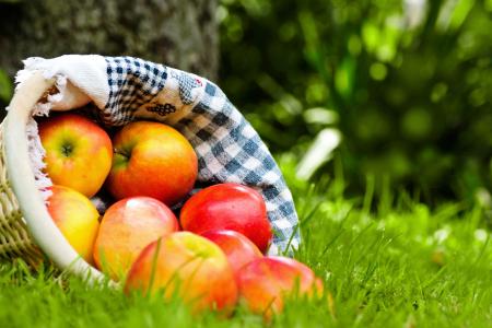 水果，苹果，成熟，餐巾，篮子，红色