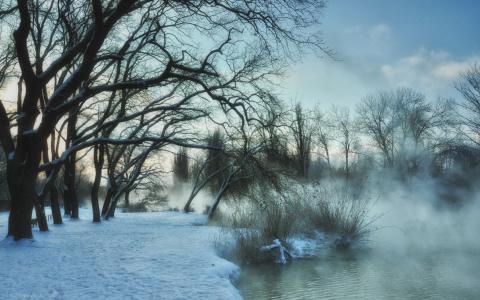 克拉斯诺达尔，冷淡的早晨，公园阳光岛，照片，亚历山大·克鲁