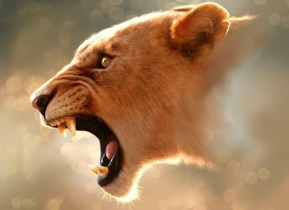 母狮，捕食者，侵略，愤怒，猫，宏，photoshop