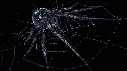 蜘蛛，网，3D