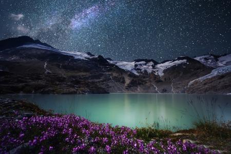 瑞士，山，阿尔卑斯山，湖，鲜花，夜晚，星星，天空