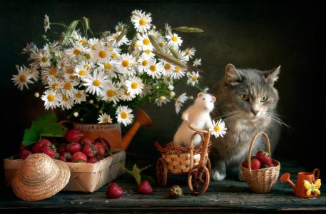 篮子，浆果，草莓，喷壶，鲜花，洋甘菊，动物，猫，猫，玩具，鼠标