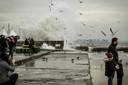 敖德萨，海，风暴，美丽，波浪，飞溅，酷，海鸥