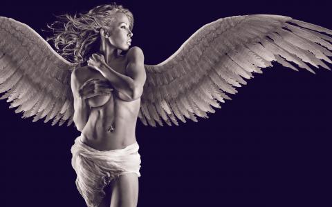 天使，女孩，翅膀，模型
