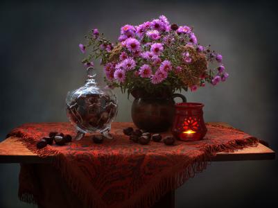 桌子，静物，桌布，水罐，鲜花，紫苑，栗子，花瓶，灯，蜡烛